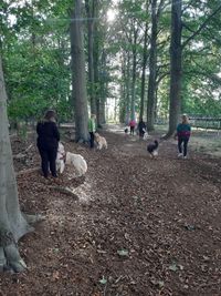 Sporten in het bos