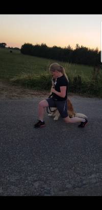 Lunge met hond zit